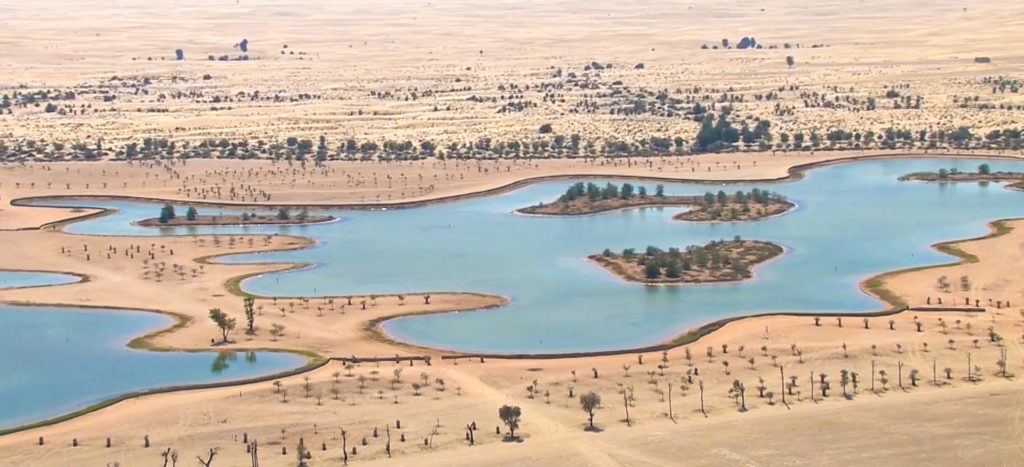 المرحلة 4 بلدية دبي