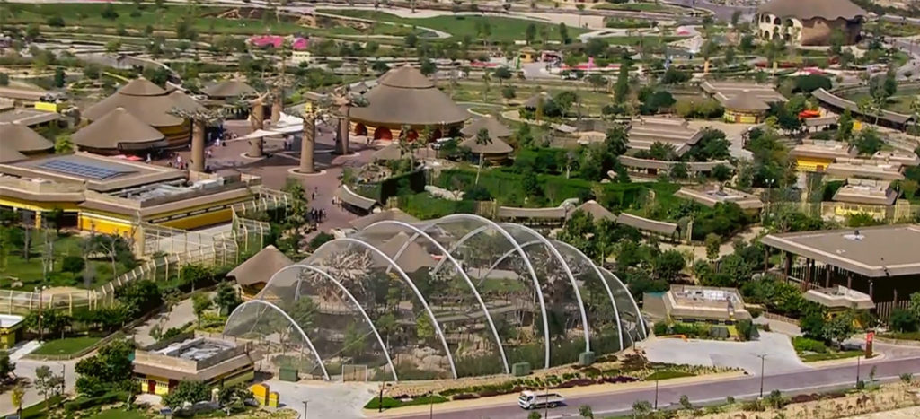 المرحلة 7 - دبي