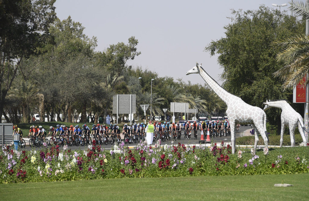 المرحلة 3 - العين