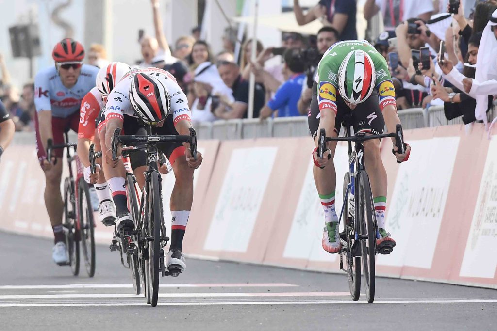 المرحلة 2 - جزيرة ياس